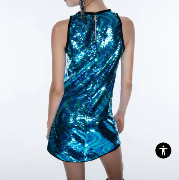 NWTs zara sequin skirt and top set